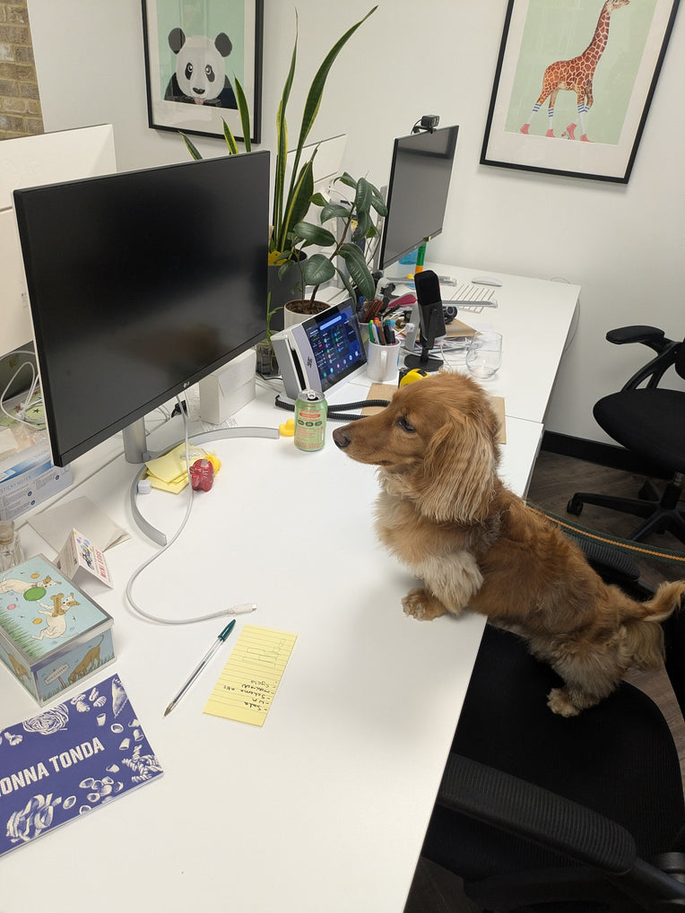 We're hiring!